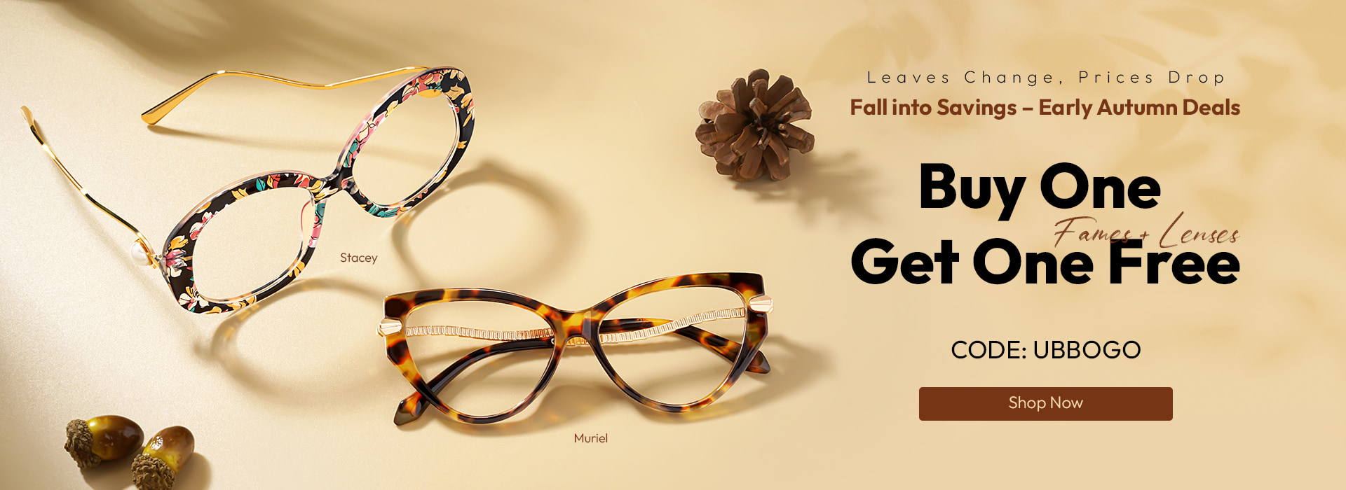 Buy 1 Get 1 Free (Frames + Lenses)