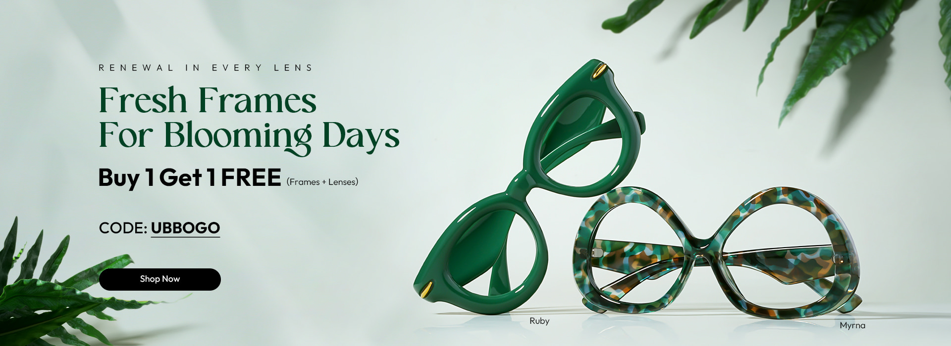 Buy 1 Get 1 Free (Frames + Lenses)